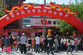 国产精品馆,匠心独运，传承与创新并重的文化瑰宝之旅